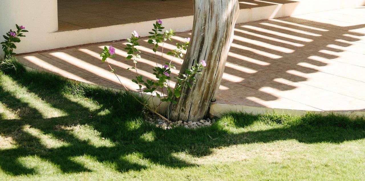 Totobe Resort Jabilla Экстерьер фото
